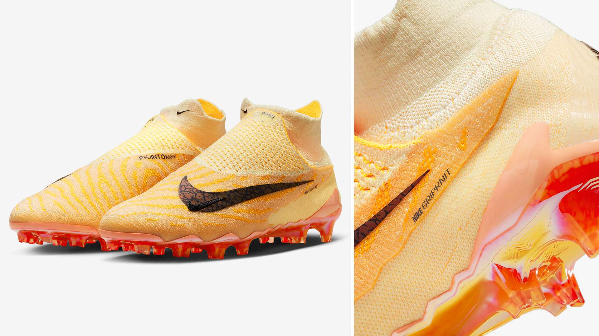 擇了大量 擇了大量