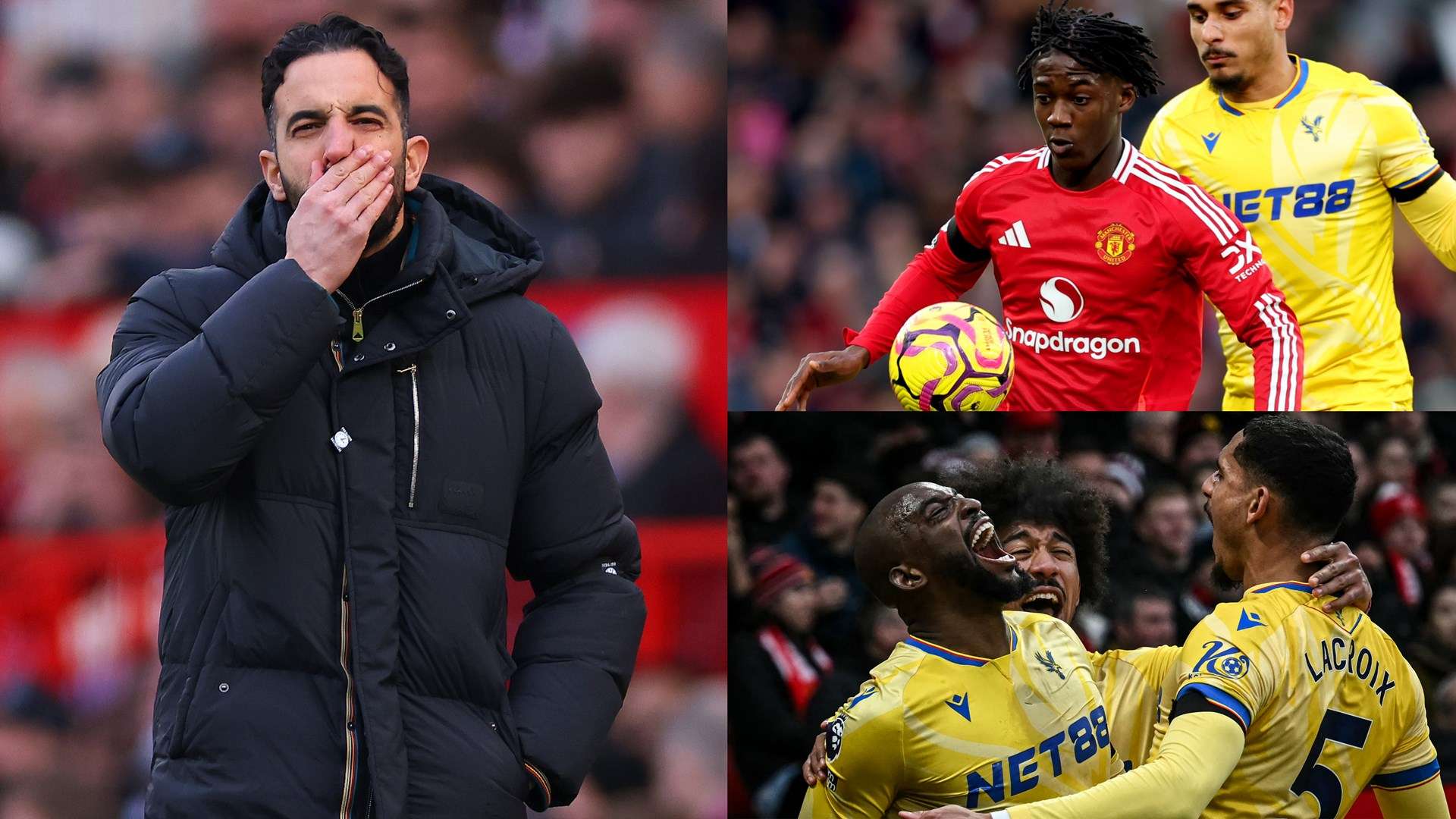 还需要极高 还需要极高